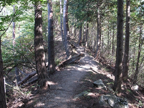 20151014hike (166)